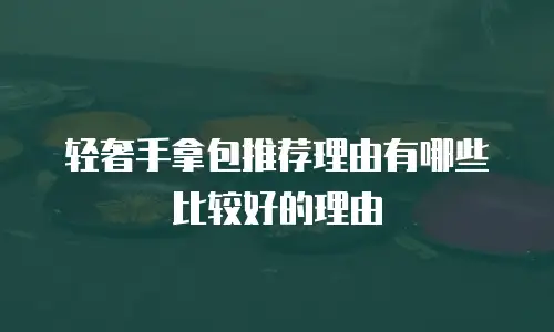 轻奢手拿包推荐理由有哪些比较好的理由