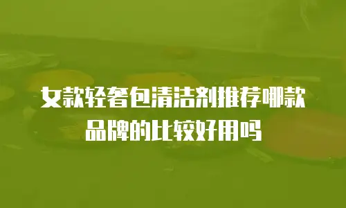 女款轻奢包清洁剂推荐哪款品牌的比较好用吗