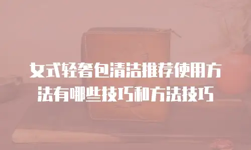 女式轻奢包清洁推荐使用方法有哪些技巧和方法技巧