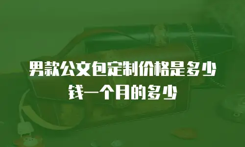 男款公文包定制价格是多少钱一个月的多少