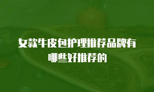 女款牛皮包护理推荐品牌有哪些好推荐的