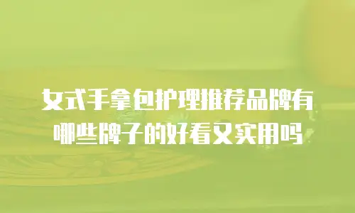 女式手拿包护理推荐品牌有哪些牌子的好看又实用吗
