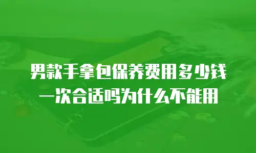 男款手拿包保养费用多少钱一次合适吗为什么不能用