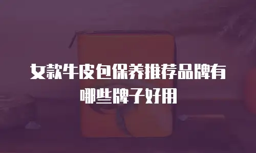 女款牛皮包保养推荐品牌有哪些牌子好用