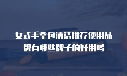 女式手拿包清洁推荐使用品牌有哪些牌子的好用吗