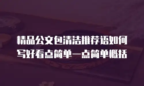 精品公文包清洁推荐语如何写好看点简单一点简单概括