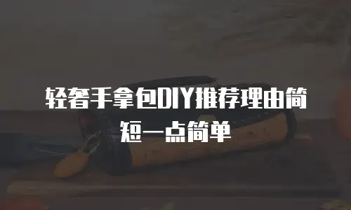 轻奢手拿包DIY推荐理由简短一点简单