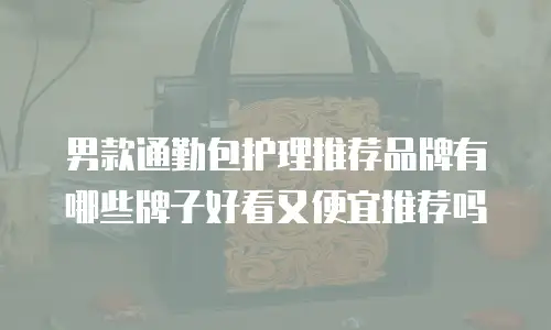 男款通勤包护理推荐品牌有哪些牌子好看又便宜推荐吗