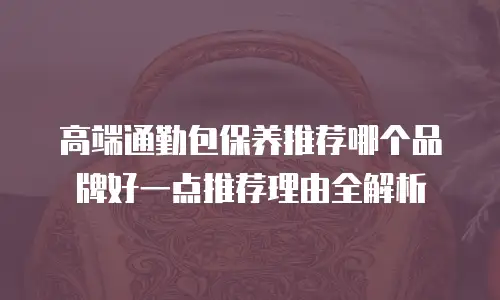 高端通勤包保养推荐哪个品牌好一点推荐理由全解析