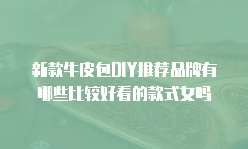新款牛皮包DIY推荐品牌有哪些比较好看的款式女吗