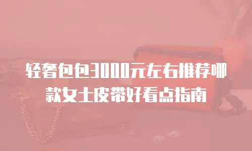 轻奢包包3000元左右推荐哪款女士皮带好看点指南