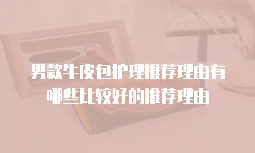 男款牛皮包护理推荐理由有哪些比较好的推荐理由