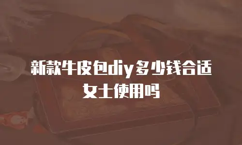 新款牛皮包diy多少钱合适女士使用吗