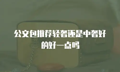 公文包推荐轻奢还是中奢好的好一点吗