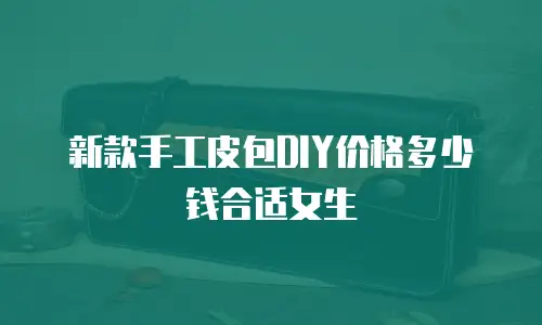 新款手工皮包DIY价格多少钱合适女生