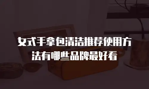 女式手拿包清洁推荐使用方法有哪些品牌最好看