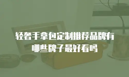 轻奢手拿包定制推荐品牌有哪些牌子最好看吗