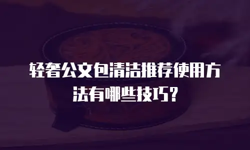 轻奢公文包清洁推荐使用方法有哪些技巧？