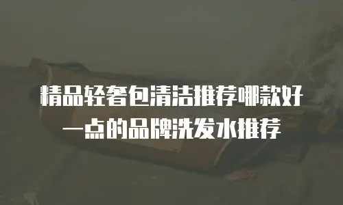精品轻奢包清洁推荐哪款好一点的品牌洗发水推荐