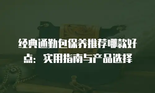 经典通勤包保养推荐哪款好点：实用指南与产品选择