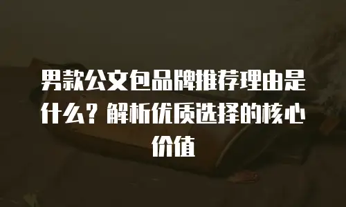 男款公文包品牌推荐理由是什么？解析优质选择的核心价值