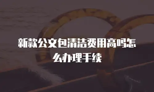 新款公文包清洁费用高吗怎么办理手续