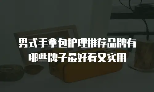 男式手拿包护理推荐品牌有哪些牌子最好看又实用