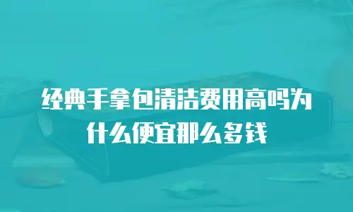 经典手拿包清洁费用高吗为什么便宜那么多钱