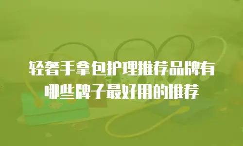 轻奢手拿包护理推荐品牌有哪些牌子最好用的推荐