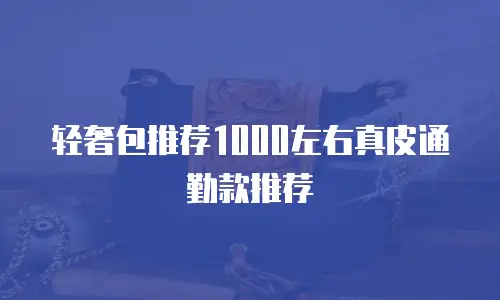 轻奢包推荐1000左右真皮通勤款推荐