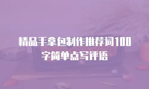 精品手拿包制作推荐词100字简单点写评语