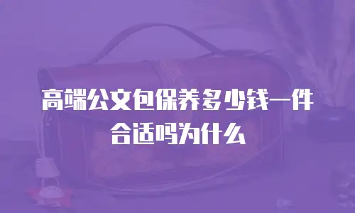 高端公文包保养多少钱一件合适吗为什么