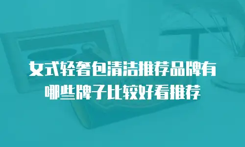 女式轻奢包清洁推荐品牌有哪些牌子比较好看推荐