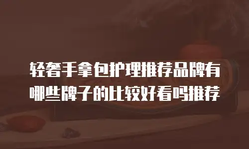 轻奢手拿包护理推荐品牌有哪些牌子的比较好看吗推荐