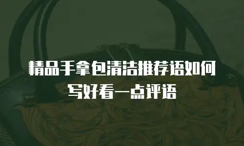 精品手拿包清洁推荐语如何写好看一点评语