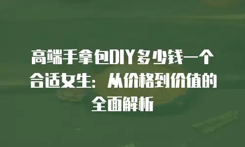 高端手拿包DIY多少钱一个合适女生：从价格到价值的全面解析