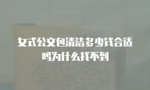 女式公文包清洁多少钱合适吗为什么找不到