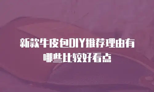 新款牛皮包DIY推荐理由有哪些比较好看点