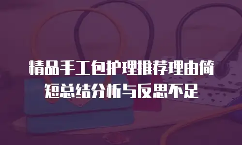 精品手工包护理推荐理由简短总结分析与反思不足