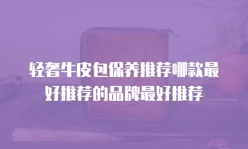 轻奢牛皮包保养推荐哪款最好推荐的品牌最好推荐