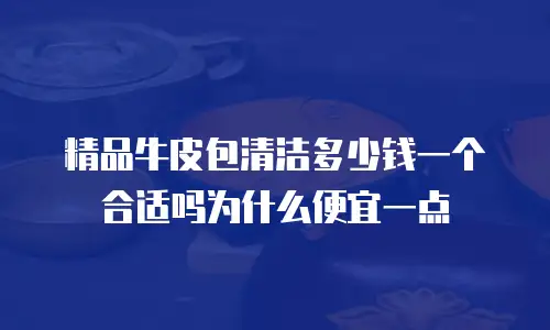 精品牛皮包清洁多少钱一个合适吗为什么便宜一点