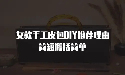 女款手工皮包DIY推荐理由简短概括简单