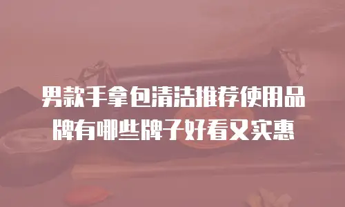 男款手拿包清洁推荐使用品牌有哪些牌子好看又实惠