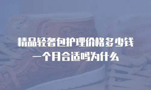 精品轻奢包护理价格多少钱一个月合适吗为什么