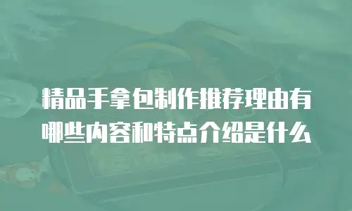 精品手拿包制作推荐理由有哪些内容和特点介绍是什么