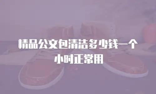 精品公文包清洁多少钱一个小时正常用