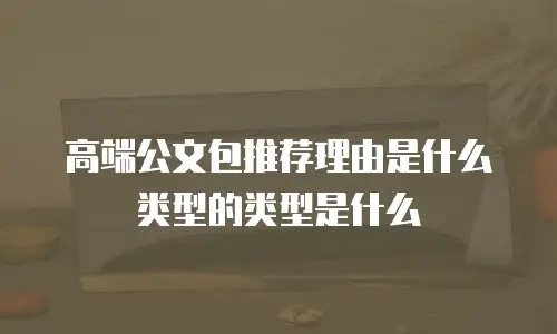 高端公文包推荐理由是什么类型的类型是什么