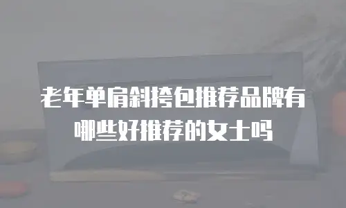 老年单肩斜挎包推荐品牌有哪些好推荐的女士吗