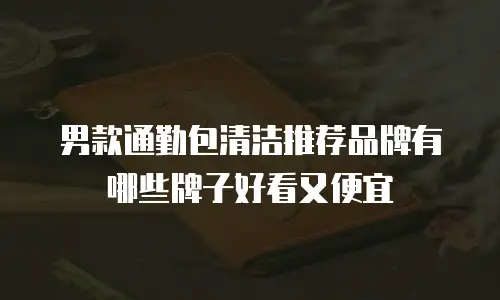 男款通勤包清洁推荐品牌有哪些牌子好看又便宜