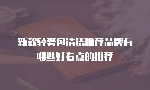 新款轻奢包清洁推荐品牌有哪些好看点的推荐